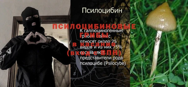 шишки Липки