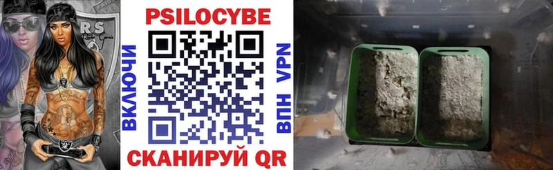 Псилоцибиновые грибы Psilocybe  Купить закладки  Яровое 