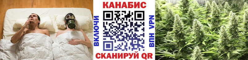 Канабис планчик  Купить где  Яровое 